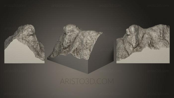 Stones and shells (ROCKS_0009) 3D model for CNC machine